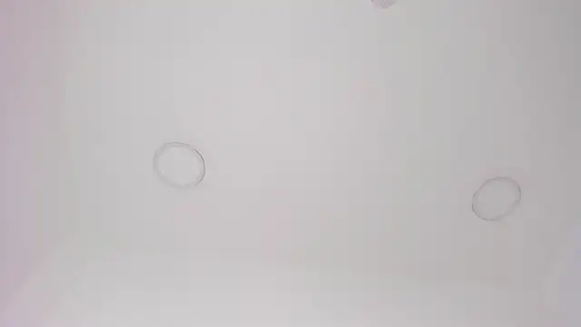 alanismorgan webcam