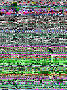 AnyaFloyd69 webcam