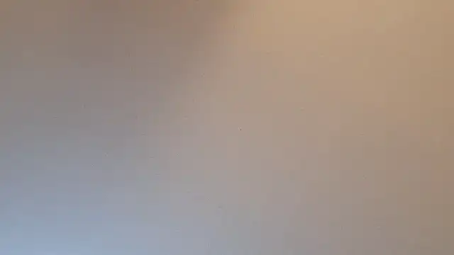 highstepper500 webcam