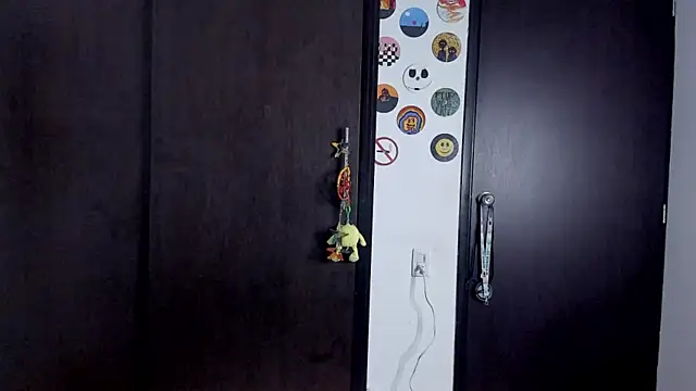 star_shooting8 webcam