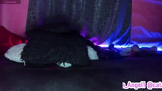 Cata-angel webcam