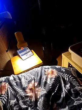 xincognito666x webcam