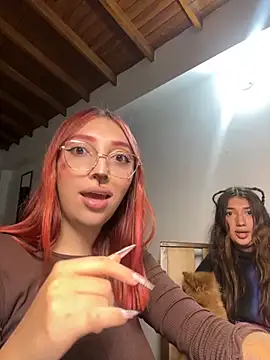 Paulina-Wells webcam