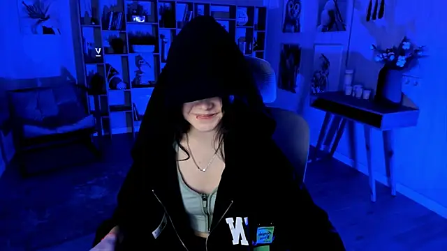 Elainebeness webcam