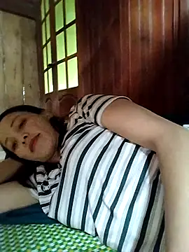 Sinejdk3 webcam