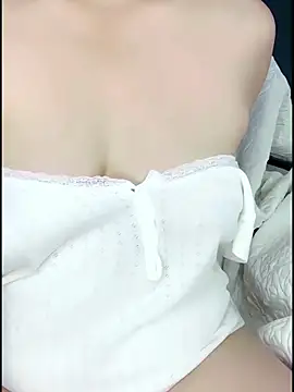 zds1121 webcam