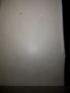 ExoticAquarius webcam