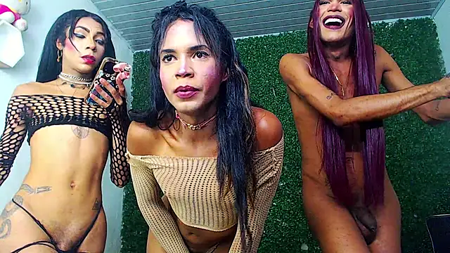 newgroupxxx webcam