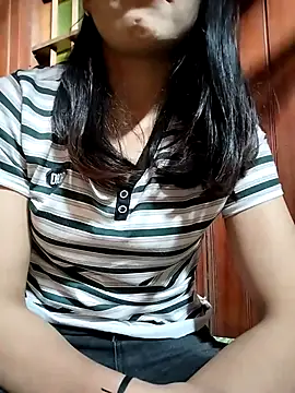 Sinejdk3 webcam