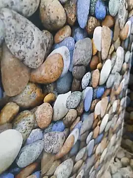 coocon2020 webcam