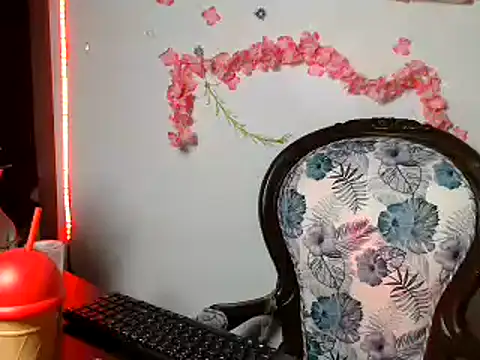 sophiadaza666 webcam