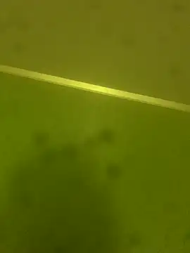 solomec webcam