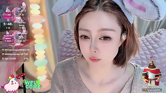 Meng-MM webcam