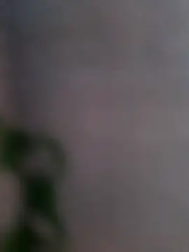 ricardaoandre_ webcam