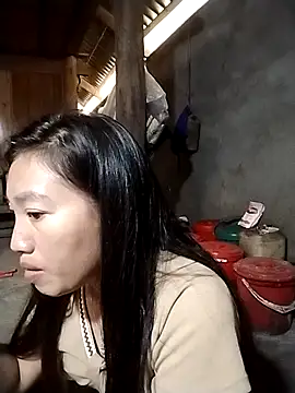 PhienPhien webcam