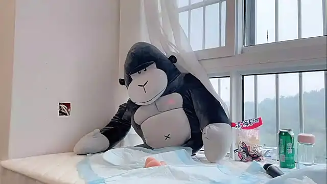 Maneki-nekoo webcam
