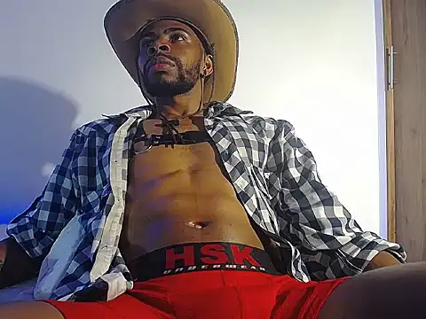 Denzo_cornell1 webcam