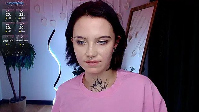 Elastikisss webcam
