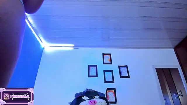 milita_houston webcam