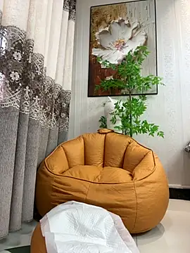 feifei 521