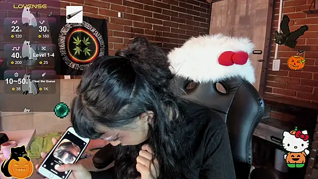 meow_mota webcam