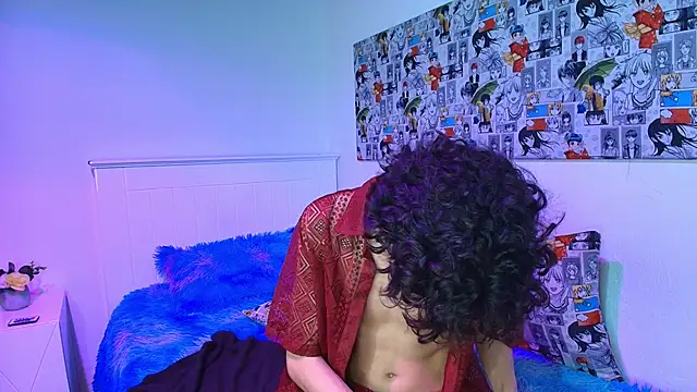 noidysis webcam