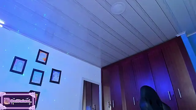 milita_houston webcam