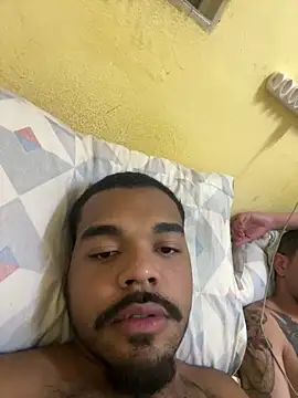 pfsilve webcam