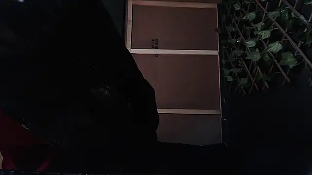 Dicaprioo_ webcam