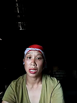 vtmbae webcam