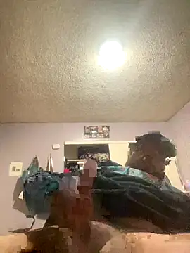 MrDickUdown24_7 webcam