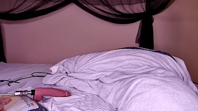 HailWildss webcam