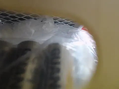 Crystal_MM webcam