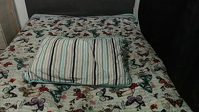gissel13 webcam
