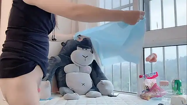 Maneki-nekoo webcam