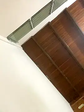 Dalton_oficial