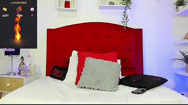 Rouss_Meyers webcam