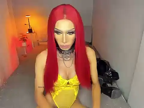 anitacruise webcam
