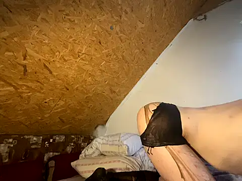 Salon1986 webcam