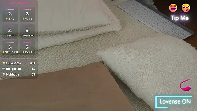 adisson_fox webcam