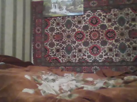 AlferezzSolvajo webcam