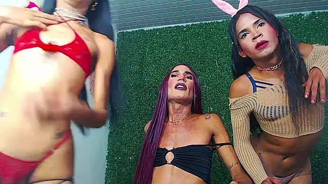 newgroupxxx webcam