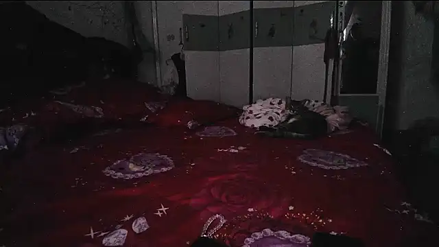hebe-02 webcam