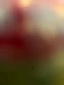 xiaoqiao_ss