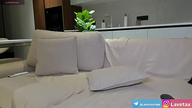 lavetax1 webcam