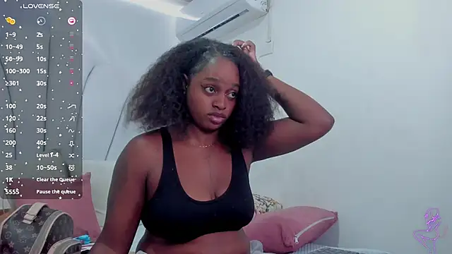 darle_volant webcam