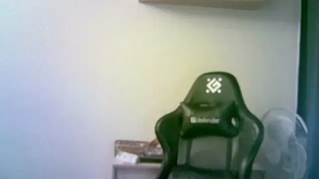 SirAbuser webcam