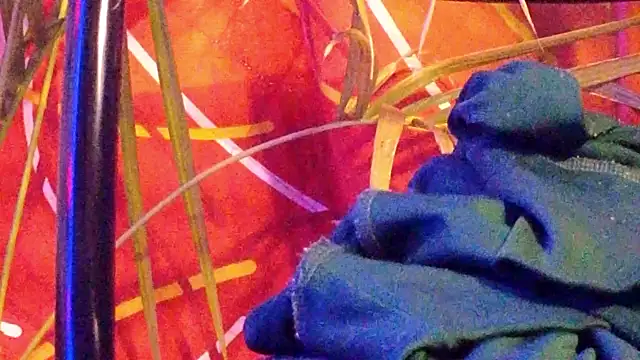 Jony_Marta webcam