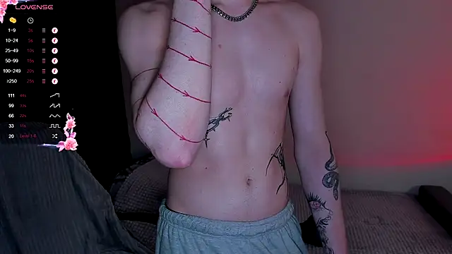 Alex_silent webcam