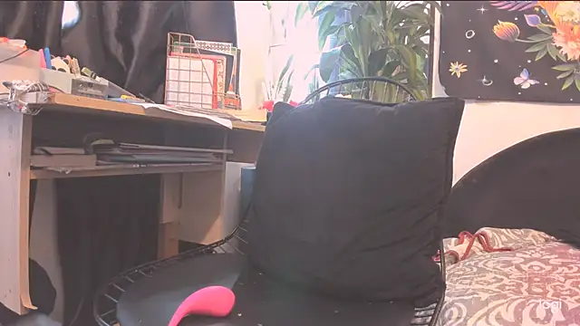 zinnia_ webcam